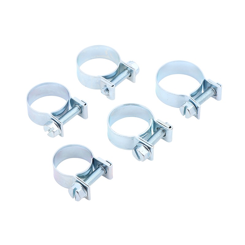 Jubilee Hose Clips 10Pcs Set f - Tippet Line ulasan dan harga